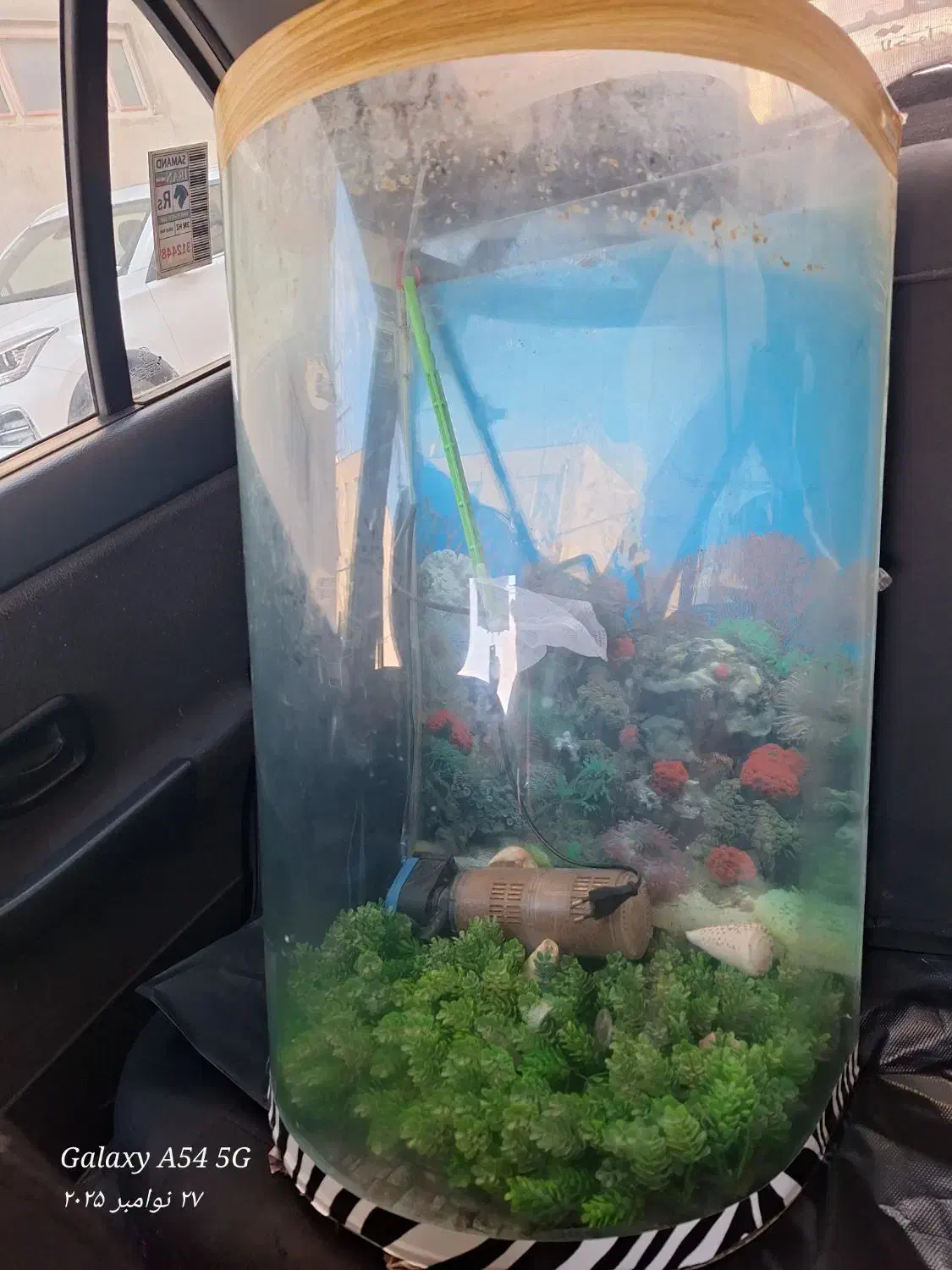 آکواریوم شیشه خم|ماهی|بروجرد, |دیوار