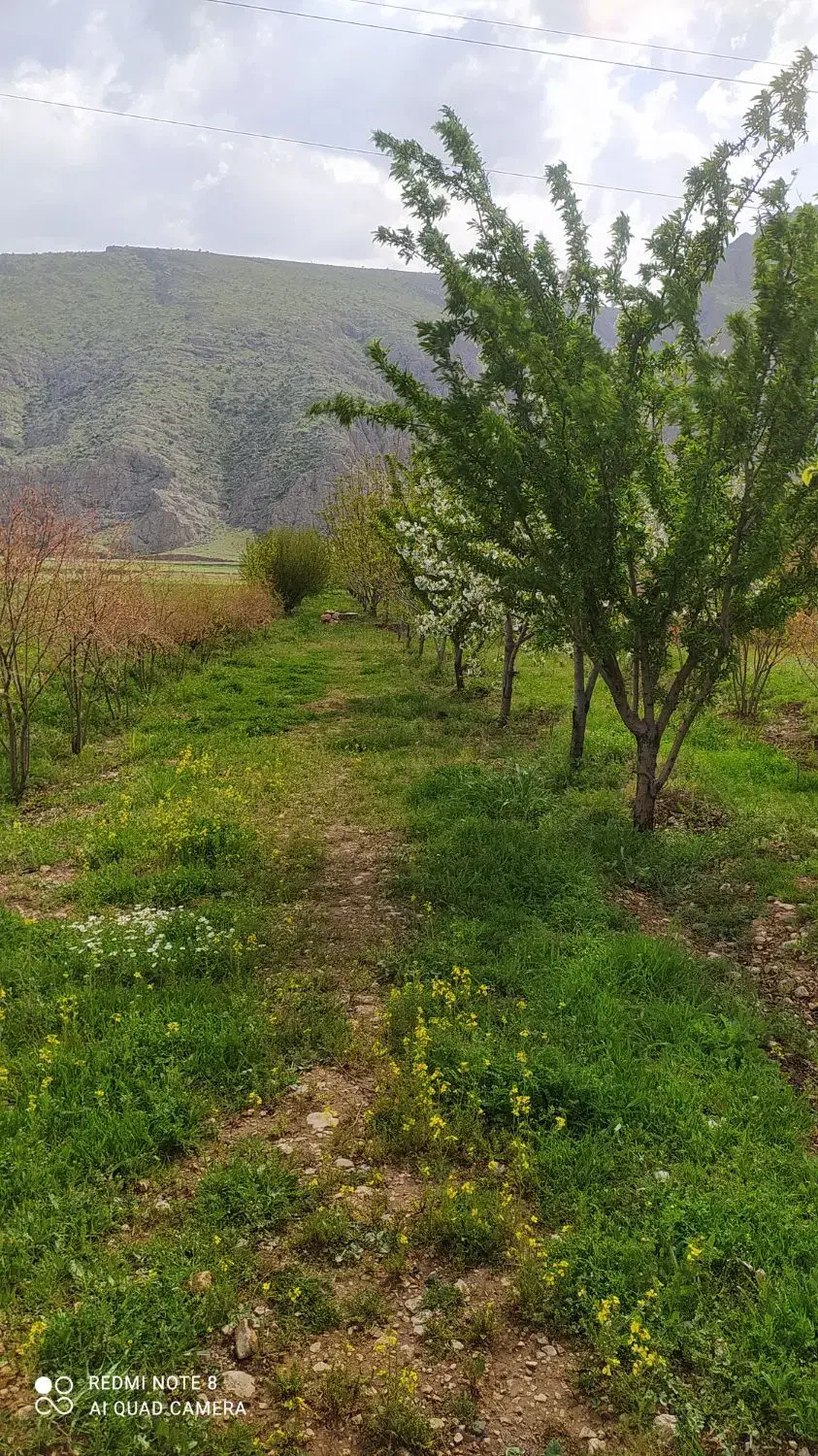 باغ|فروش خانه و ویلا|کامیاران, |دیوار