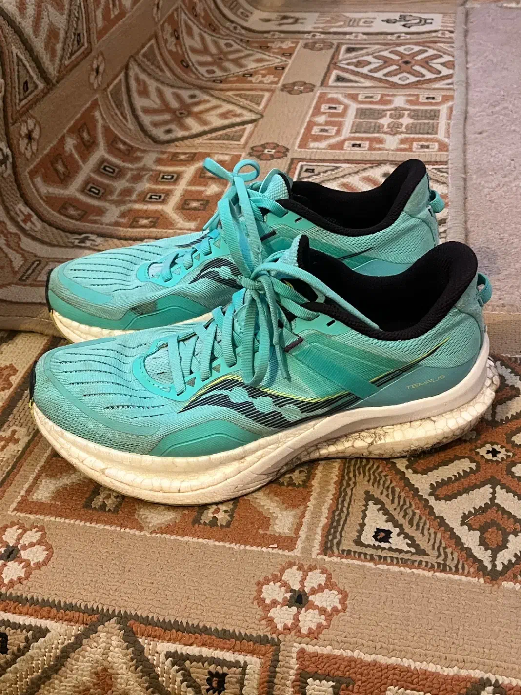 کفش|کیف، کفش، کمربند|بروجن, |دیوار