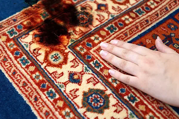 قالیشویی ومبلشویی پاکینو پردیس فاز 1،2،11،8|خدمات نظافت|پردیس, فاز ۸|دیوار
