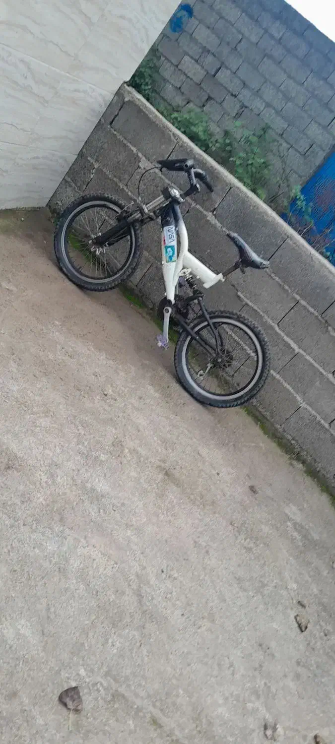 دوچرخه|دوچرخه، اسکیت، اسکوتر|رشت, بالاکویه|دیوار