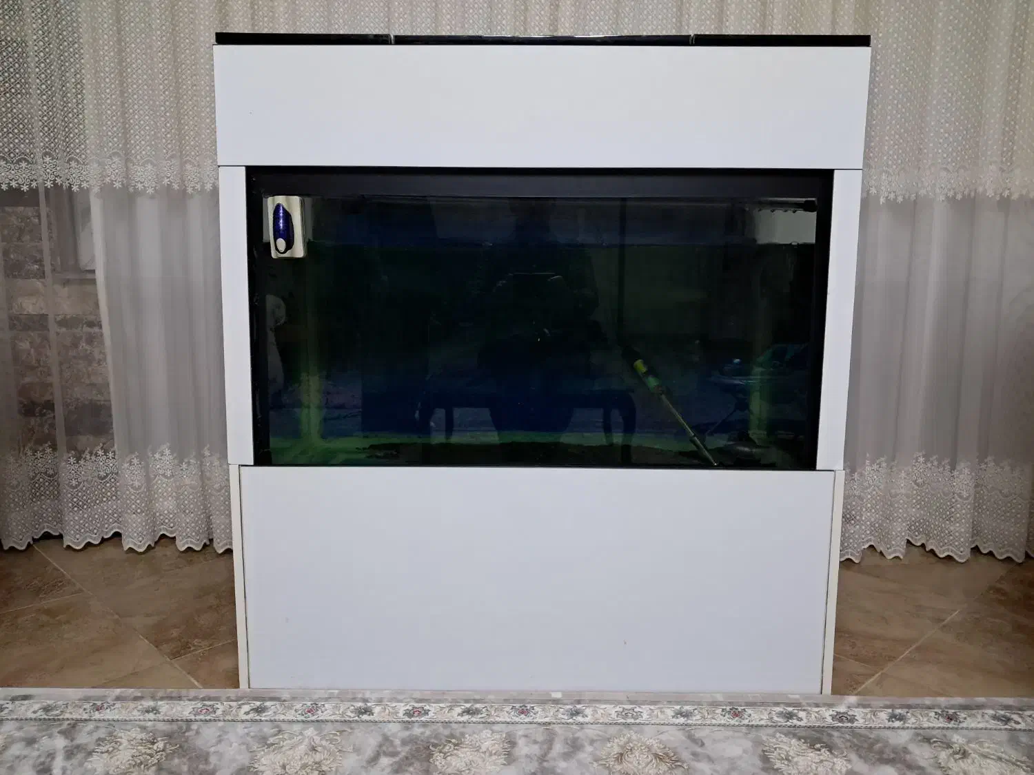 آکواریوم با قاب ام دی اف|ماهی|چالوس, |دیوار