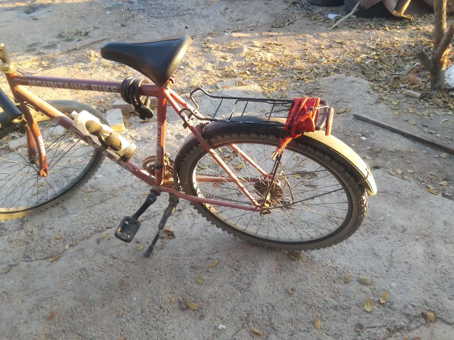 دوچرخه ۲۶|دوچرخه، اسکیت، اسکوتر|هشتگرد, شهرک راه آهن|دیوار