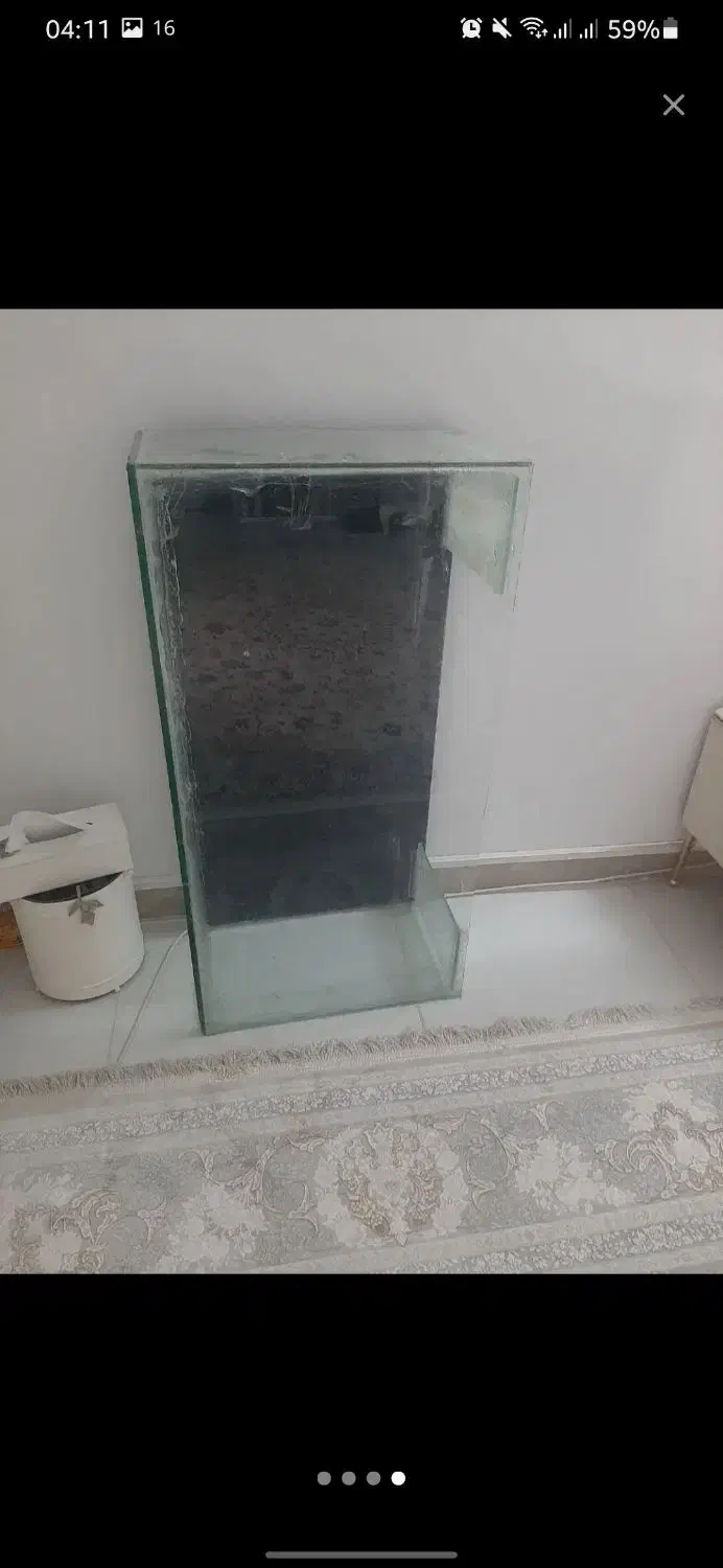 آکواریوم|ماهی|پاکدشت, پاکدشت (مامازند)|دیوار