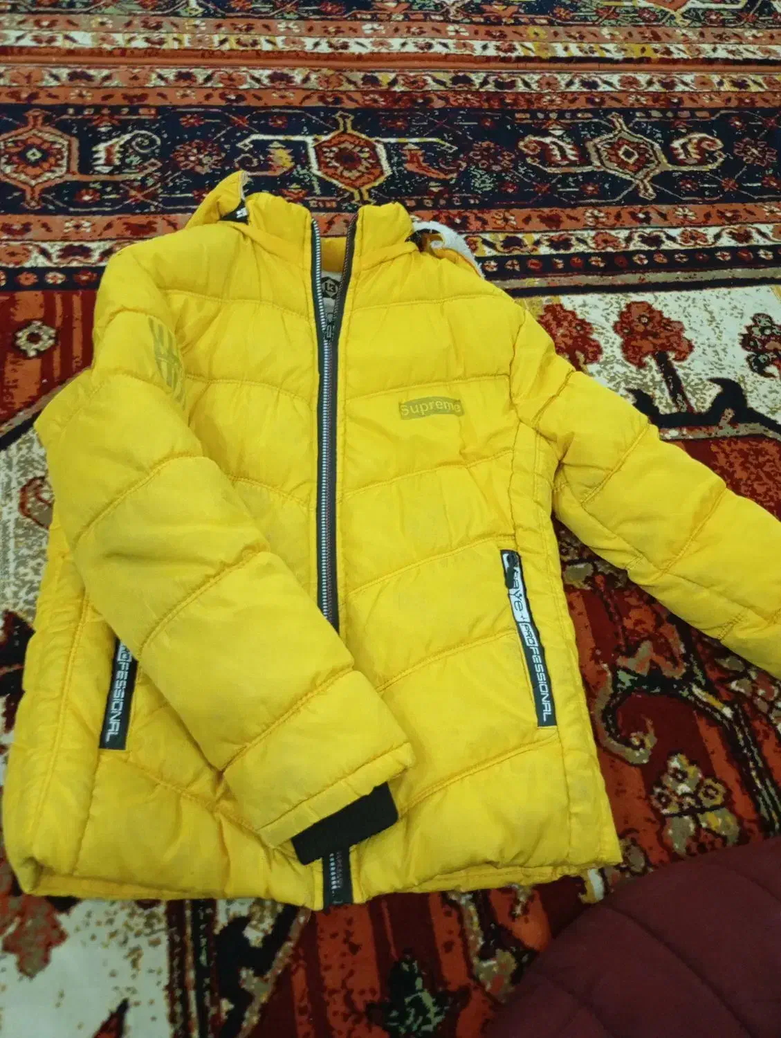 کاپشن|کفش و لباس بچه|مشگین شهر, |دیوار