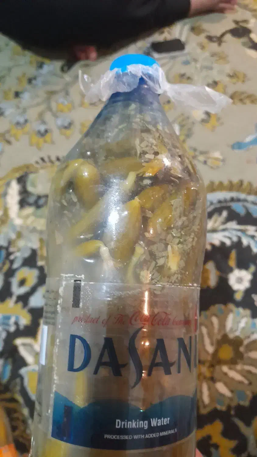 خیارشور تازه ومحلی|خوردنی و آشامیدنی|شیراز, مسلم|دیوار