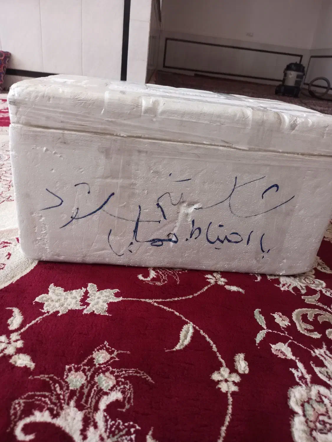 فیبر( یخدون)|ظروف نگهدارنده، پلاستیکی، یک‌بارمصرف|زابل, |دیوار