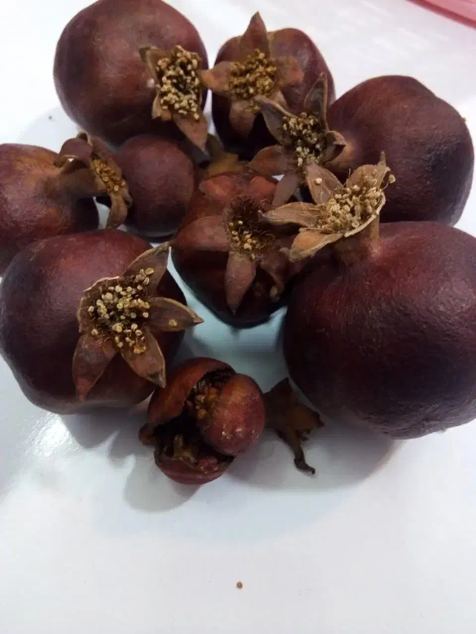 انار طبیعی خشک تزئینی|صنایع دستی و سایر لوازم تزئینی|مشهد, رده|دیوار