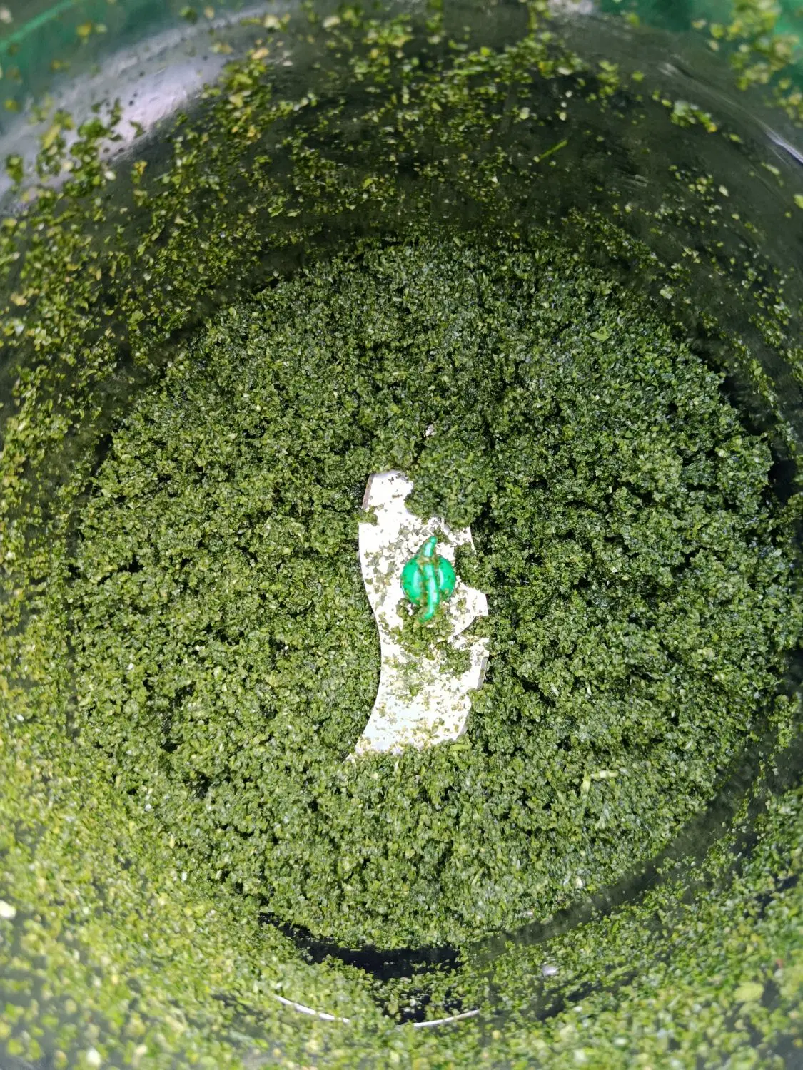 سبزی خورشتی آماده خانگی|خوردنی و آشامیدنی|کرمانشاه, |دیوار