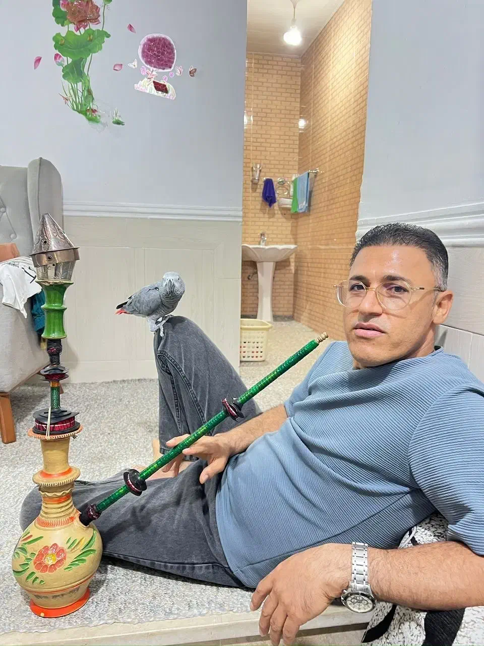 طوطی کاسکو|پرنده|مهر, |دیوار