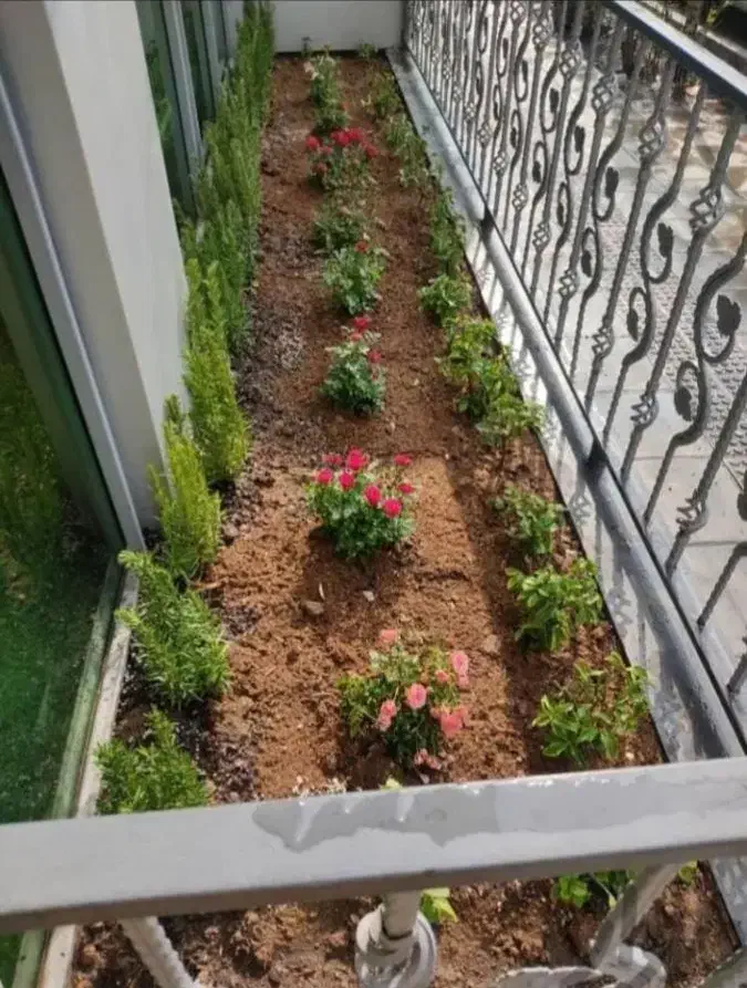 خدمات باغبانی باغچه کاری گل کاری تعویضی خاک گلدان|خدمات باغبانی و درختکاری|تهران, سهروردی|دیوار