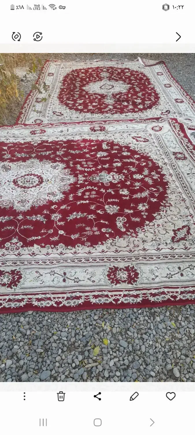 یک جفت فرش|فرش|پارسآباد, |دیوار