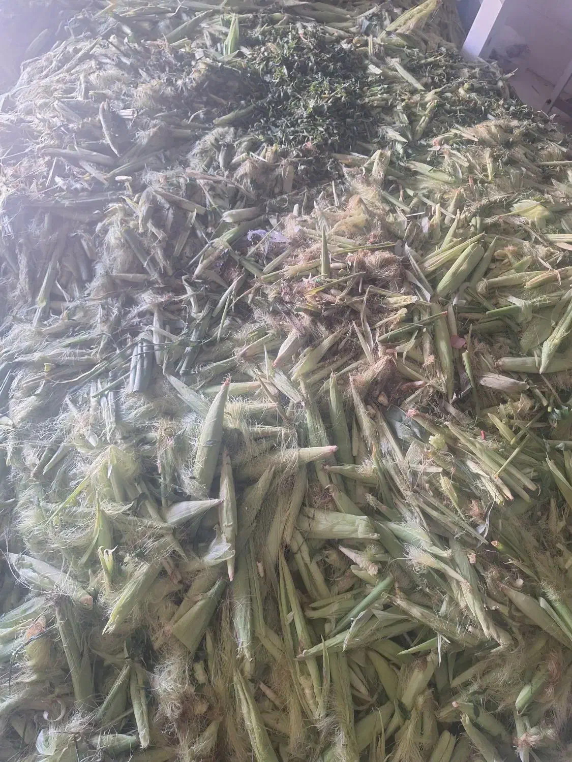 پوست بلال|لوازم جانبی حیوانات|همدان, |دیوار