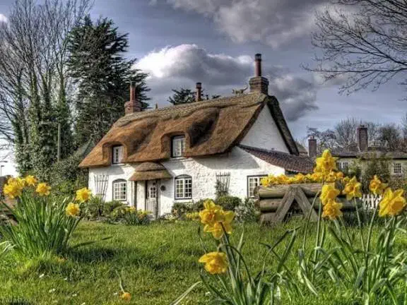 ۵۰متر طبقه دوم|اجارهٔ آپارتمان|تهران, آهنگران (سراسیاب دولاب)|دیوار