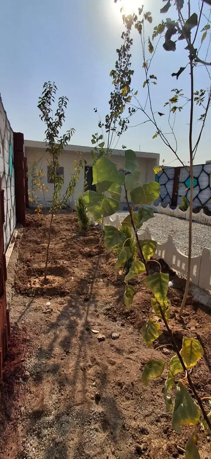 باغ.چهار دیوار.زمین.سند دار|فروش زمین و ملک کلنگی|شهریار, اصیل آباد|دیوار