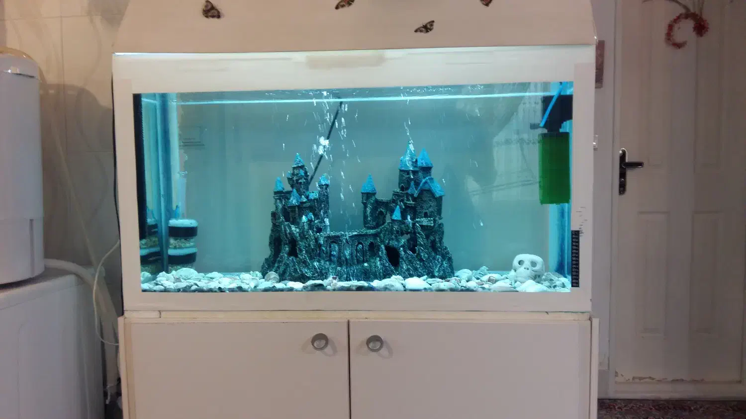 آکواریوم|ماهی|زنجان, |دیوار