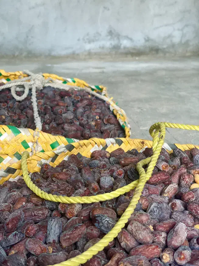 خرید خرمای پیارم درجه یک|خوردنی و آشامیدنی|شیراز, احمدی جنوبی|دیوار