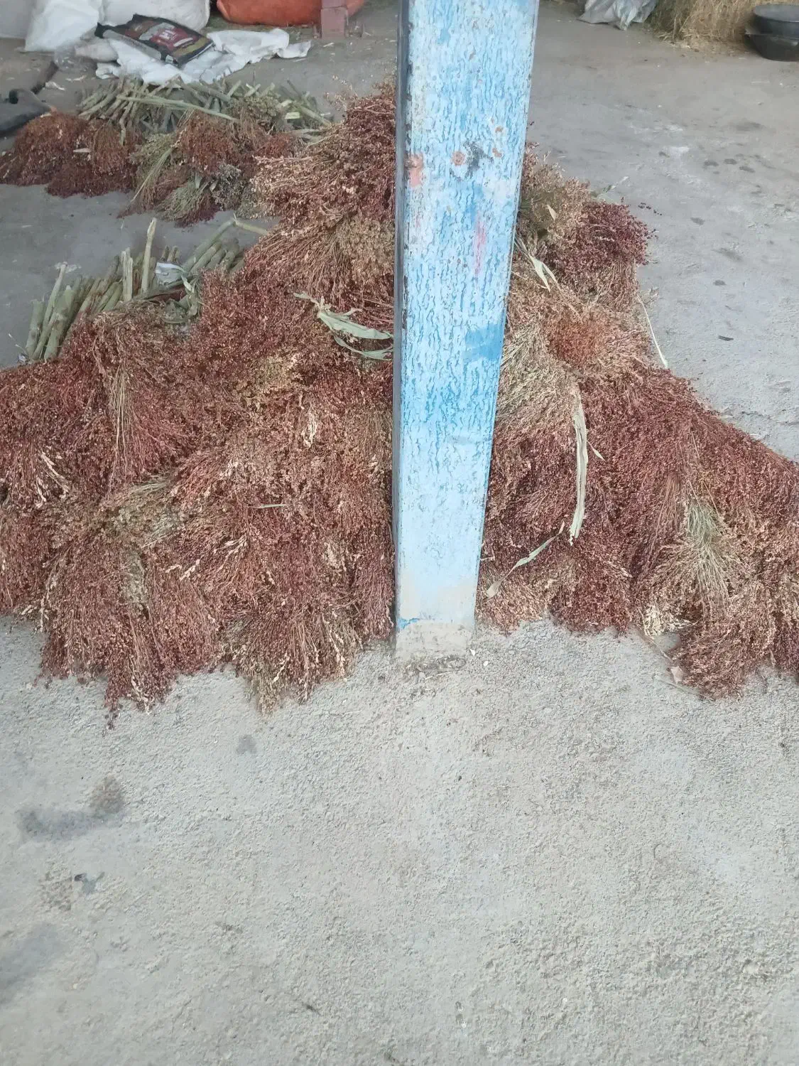 جارو درجه یک|لوازم نظافت|الشتر, |دیوار