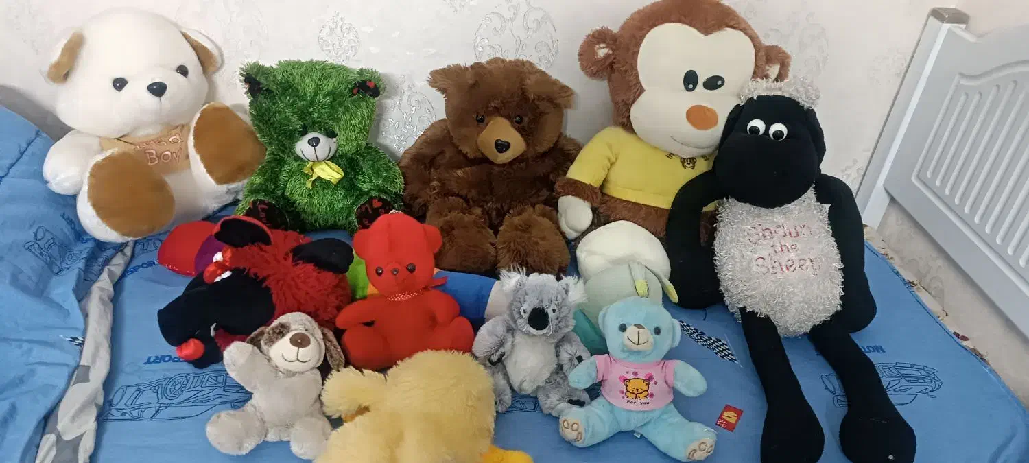 عروسک خرسی|اسباب‌‌بازی|اندیشه, اندیشه فاز ۲|دیوار