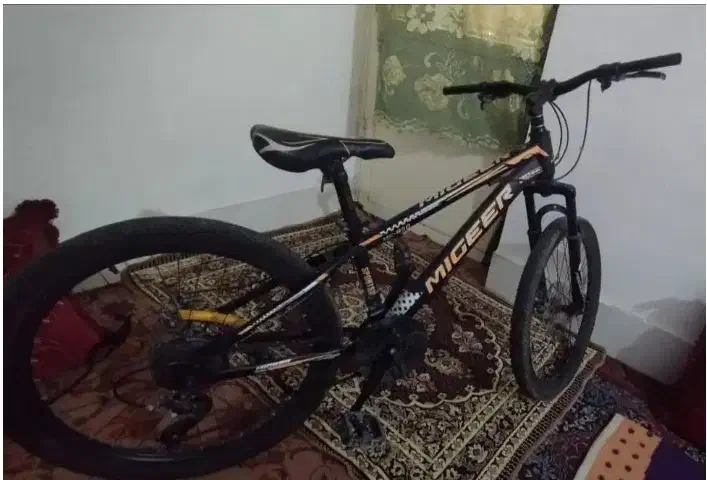 دوچرخه دنده ای. سایز 24|دوچرخه، اسکیت، اسکوتر|بندر دیر, |دیوار