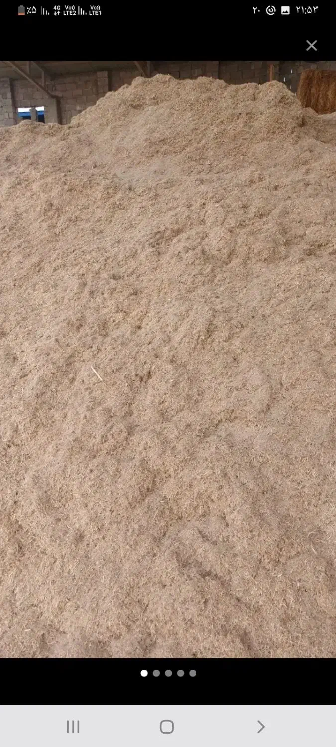 کاه جو دیم، هم فروش وهم معاوضه با کاه گندم دیم|عمده‌فروشی|لالجین, |دیوار