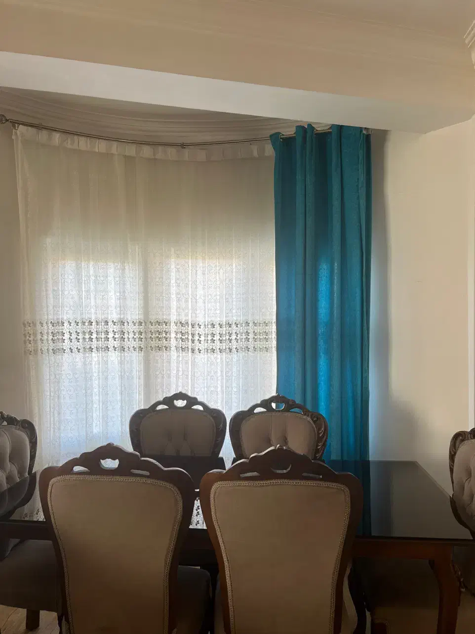 پرده|پرده، رانر، رومیزی|چالوس, |دیوار