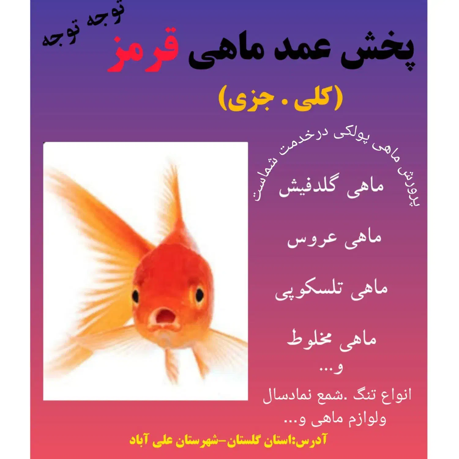 ماهی قرمز|ماهی|علی‌آباد کتول, |دیوار