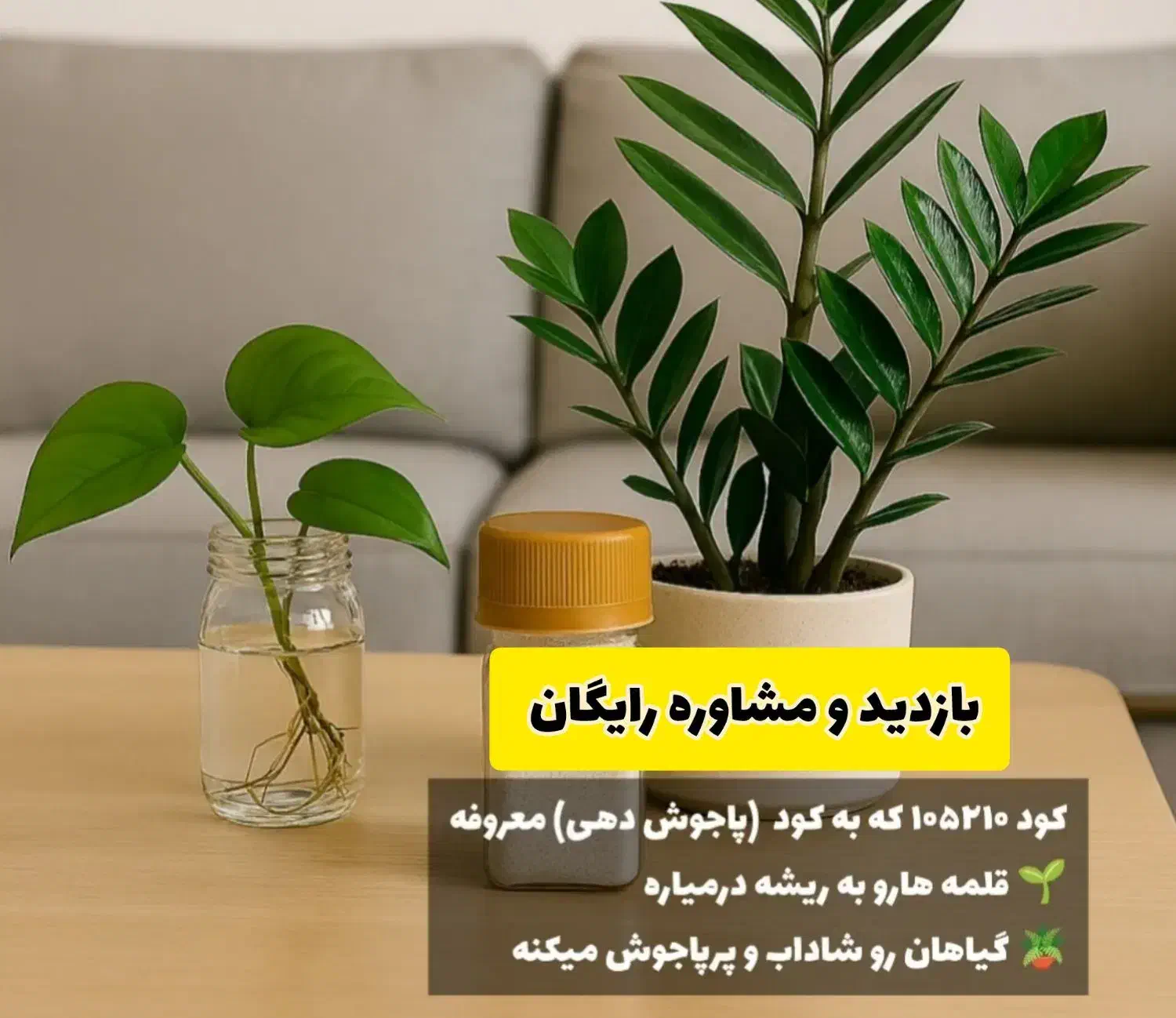 بازدید و مشاوره رایگان|خدمات باغبانی و درختکاری|دوگنبدان, |دیوار