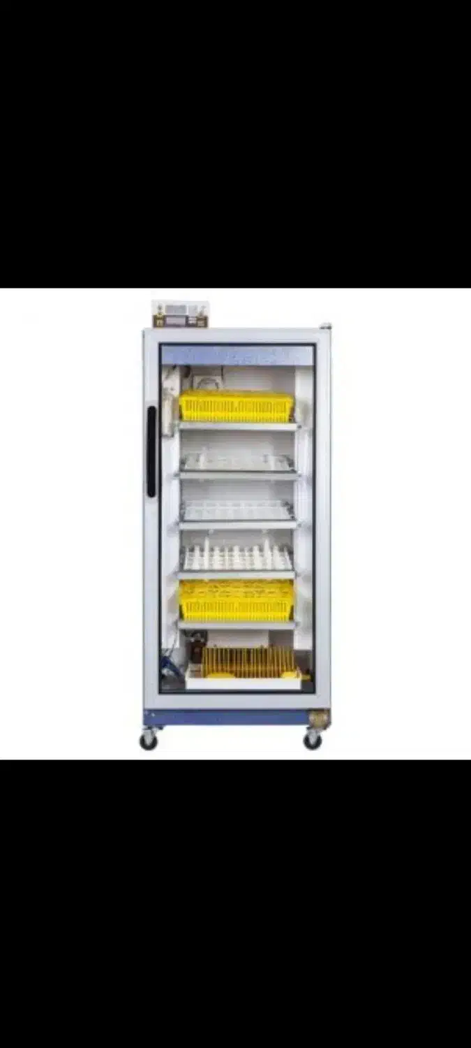 دستگاه جوجه کشی 210 عددی اتوماتیک|لوازم جانبی حیوانات|خورموج, |دیوار