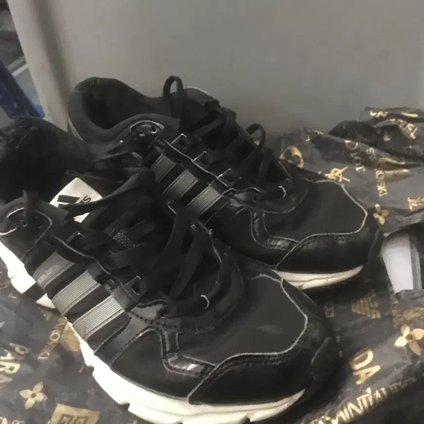 اکومنت zx|کیف، کفش، کمربند|پرند, فاز ۵|دیوار