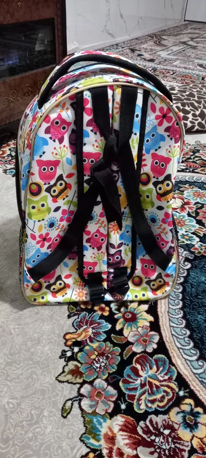 کوله حمل حیوانات نونو|لوازم جانبی حیوانات|تهران, شهرک طالقانی|دیوار