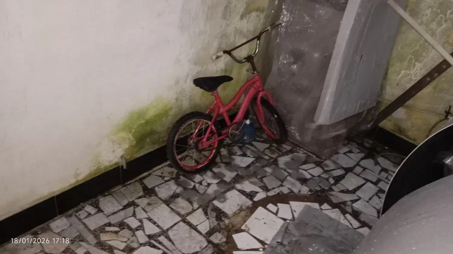 دوچرخه|دوچرخه، اسکیت، اسکوتر|رشت, جانبازان|دیوار