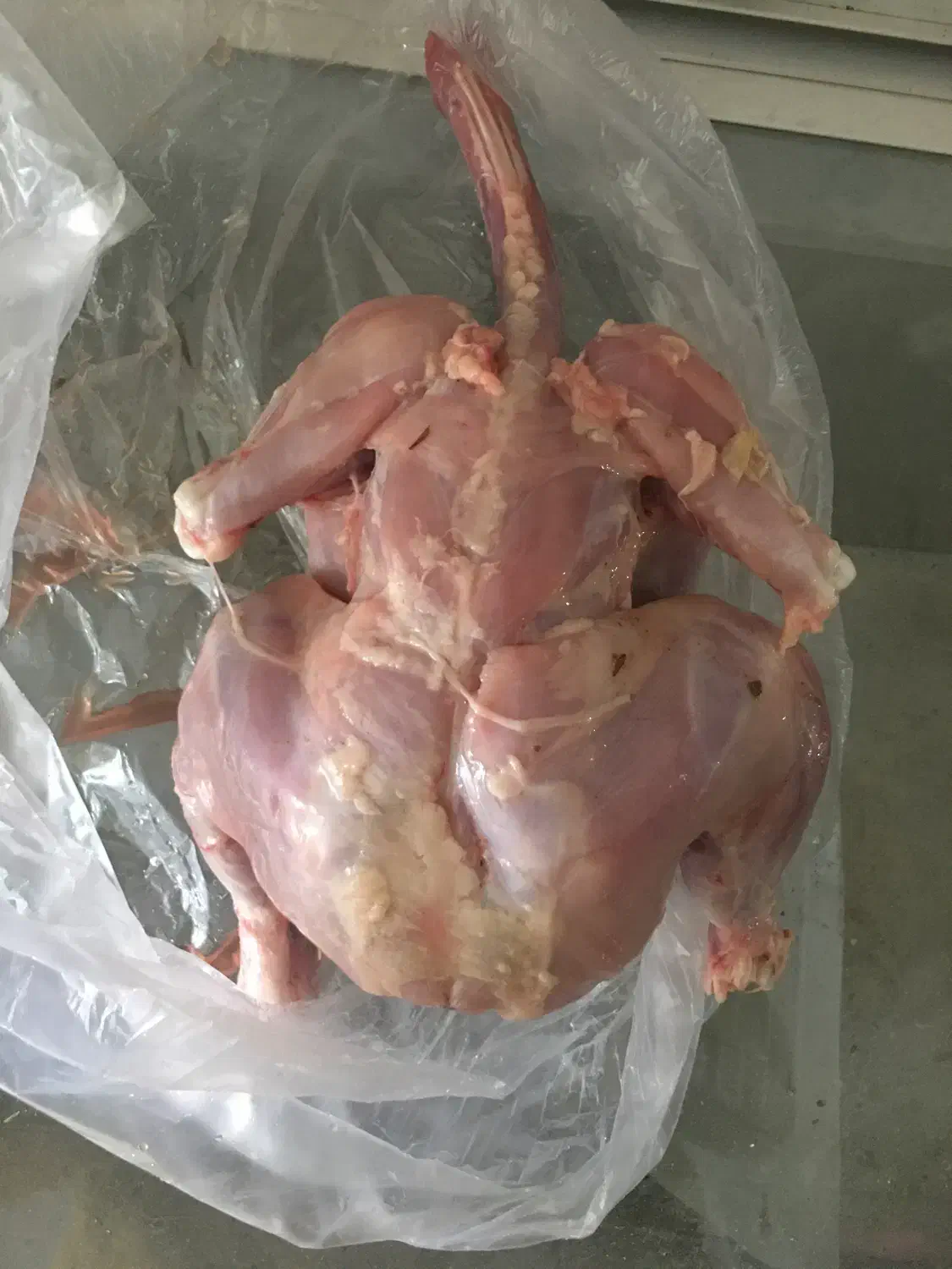 مرغ تلفاتی پاک کرده غذایه حیوانات زیر قیمت|عمدهفروشی|بابل, |دیوار