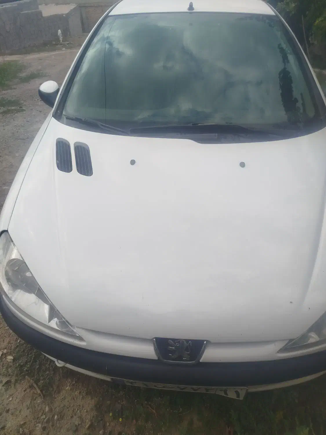 206sdسفید رنگ تیپ 5|خودرو سواری و وانت|پارس‌آباد, |دیوار