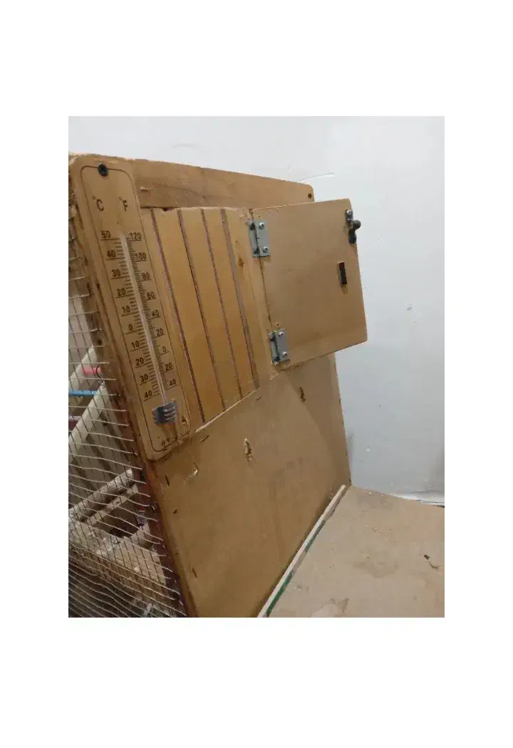 قفس پرنده|لوازم جانبی حیوانات|اهواز, اهواز|دیوار