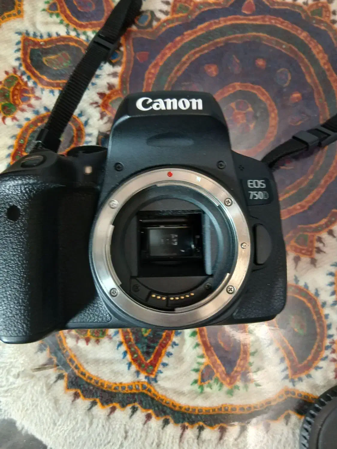 دوربین عکاسی کنون 750D|دوربین عکاسی و فیلم‌برداری|کرمان, |دیوار