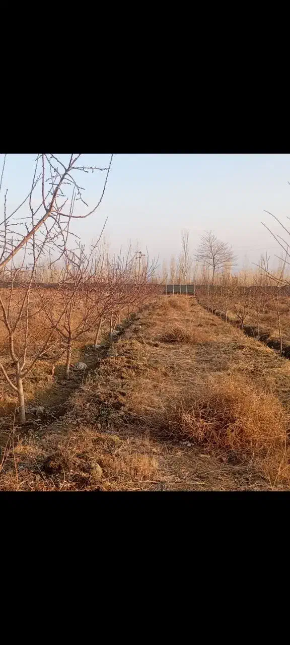 باغ در دیزیج جمشید خان|فروش زمین و ملک کلنگی|خوی, |دیوار