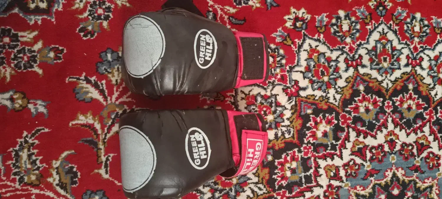 دستکش بوکس|تجهیزات ورزشی|نیشابور, مازول|دیوار