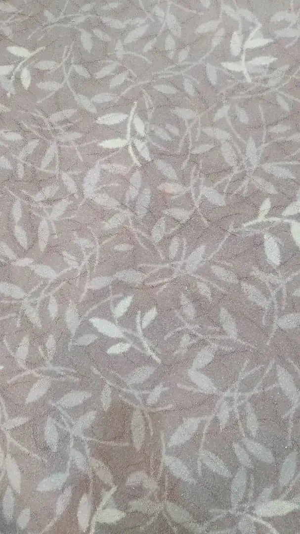 پالاز موکت|موکت|قرچک, مهدیه|دیوار