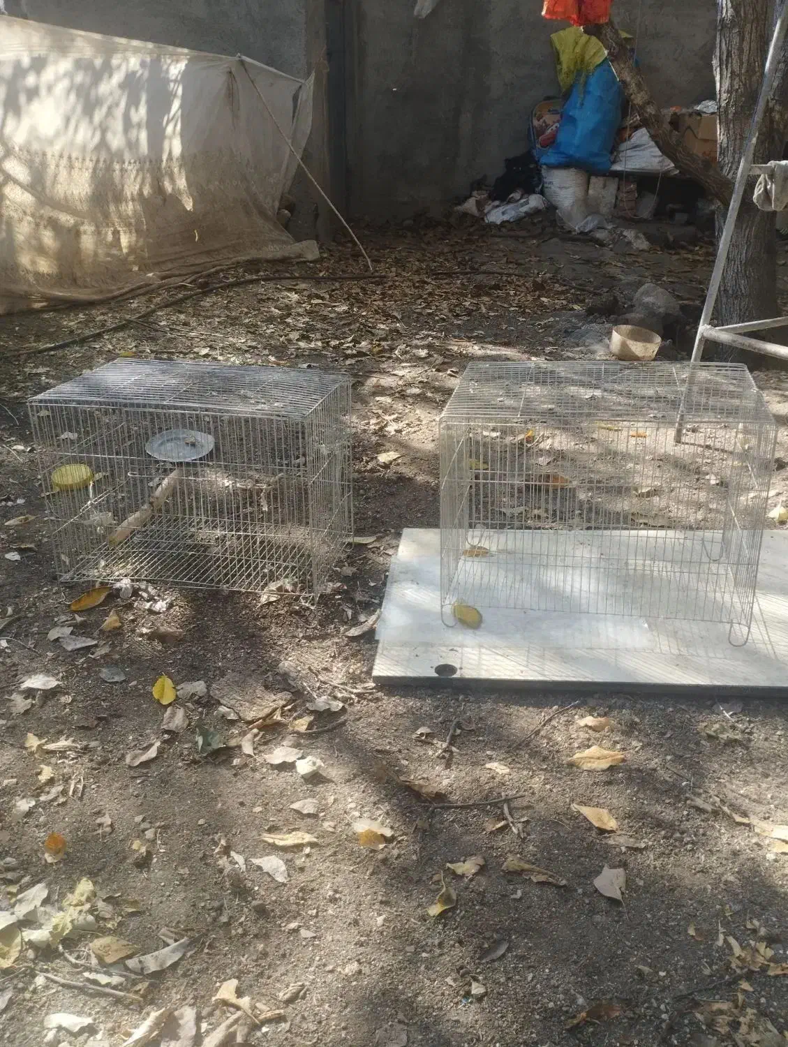 قفس|لوازم جانبی حیوانات|اردبیل, |دیوار