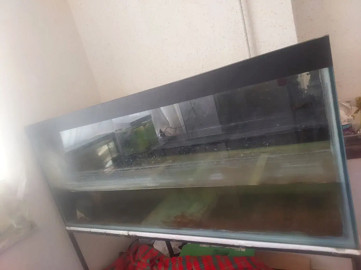 آکواریم در ابعاد بزرک .|ماهی|اسفراین, |دیوار