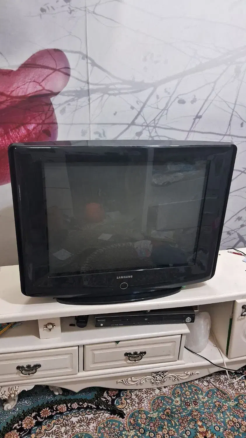 تلوزیون ۲۹ اینچ سامسونگ سالم|تلویزیون و پروژکتور|پاکدشت, پاکدشت (مامازند)|دیوار