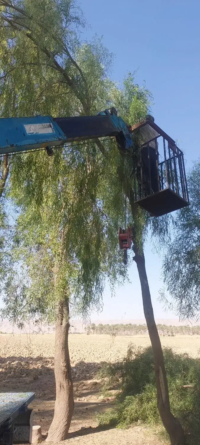 جرثقیل نیسان جهرم|خدمات حمل و نقل|جهرم, |دیوار