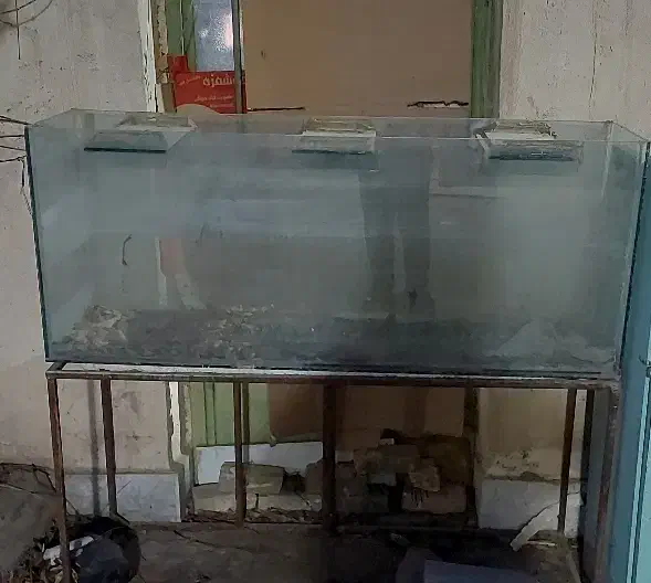 آکواریوم بزرگ ۱۰میل|ماهی|مشهد, نوید|دیوار