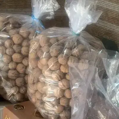 گردوی بوانات پوست کاغذی|خوردنی و آشامیدنی|شیراز, معالیآباد|دیوار