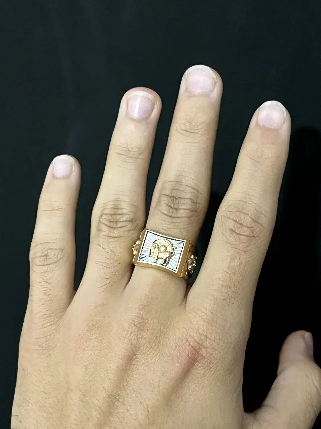 انگشتر شیر و خورشید|جواهرات|کرمانشاه, |دیوار