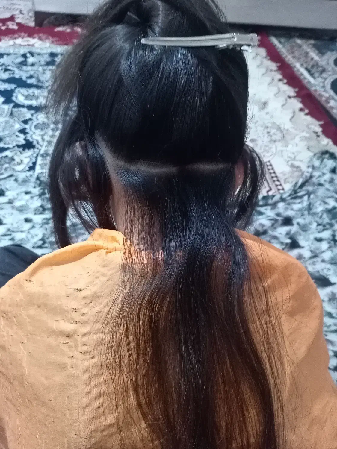 پاکسازی شپش ورشک|خدمات آرایشگری و زیبایی|سبزوار, شرق کال میانی|دیوار