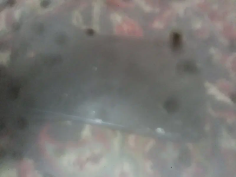 گوشی هونورx7|موبایل|شهرکرد, |دیوار