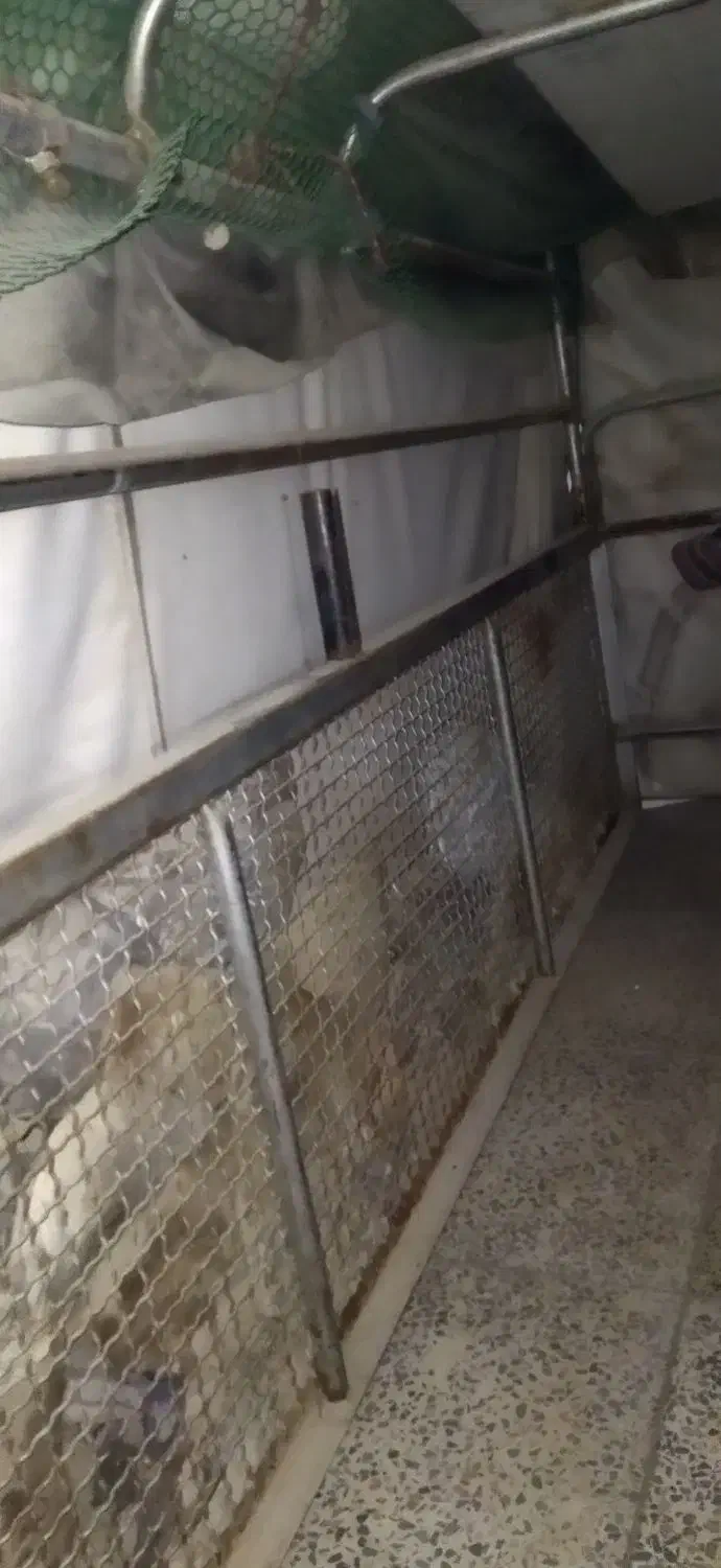 اتاق مزدا|قطعات یدکی و لوازم جانبی|پاسارگاد, |دیوار