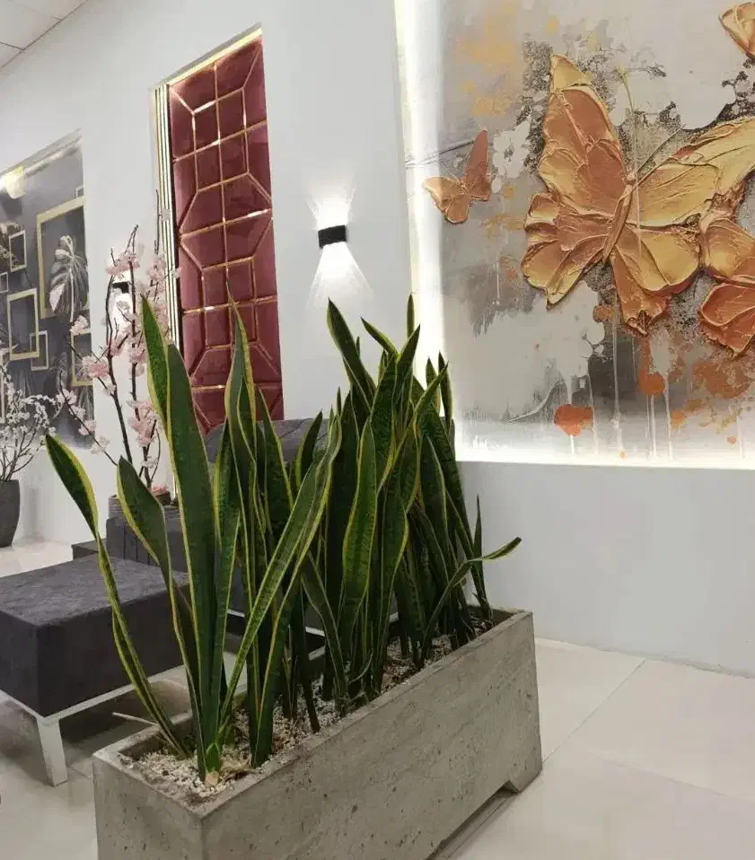 قلیانزن|استخدام خدمات فروشگاه و رستوران|قزوین, |دیوار